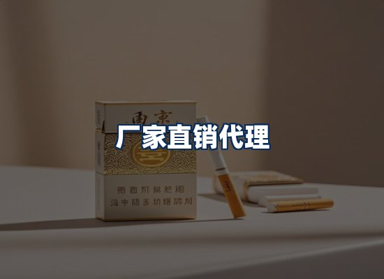 专业团队办公环境